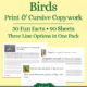 Birds Fun Facts Copywork