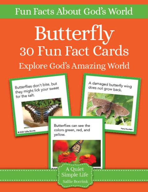 Butterfly Fun Facts Cards