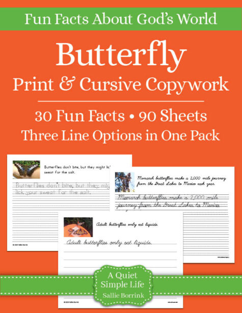 Butterfly Copywork – Print & Cursive Worksheets