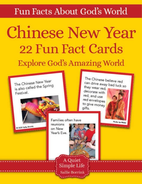 Chinese New Year Fun Fact Cards - Printable Activity