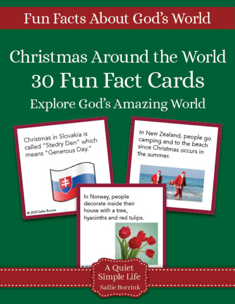 Christmas Around the World Fun Fact Cards