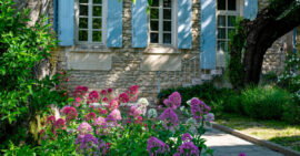 Windows with light blue shutters and pink flowers underneath
