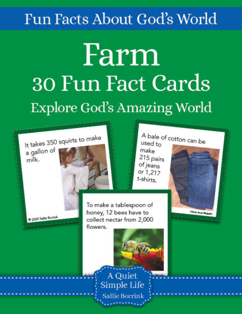 Farm Fun Fact Cards - Printable Activity