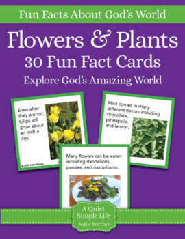 Flowers &amp; Plants Fun Fact Cards | Printable Activity | Sallie Borrink