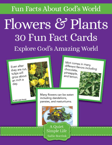 Flowers and Plants Fun Fact Cards