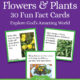 Flowers and Plants Fact Cards