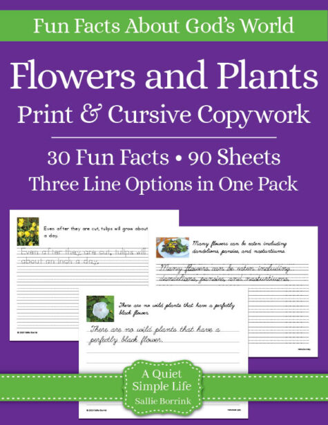 Flowers & Plants Copywork – Print & Cursive