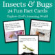 Insects & Bugs Fun Facts Cards