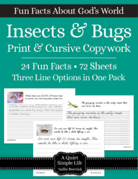 Bug In Cursive Insects & Bugs Copywork | Print & Cursive Worksheets | A Quiet Simple Life