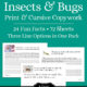 Insects & Bugs Copywork – Print & Cursive