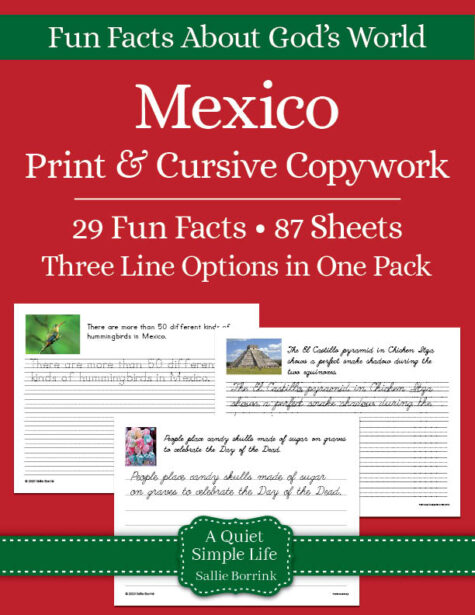 Mexico Copywork – Print & Cursive