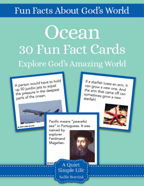Ocean Fun Fact Cards