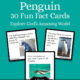 Penguin Fun Fact Cards