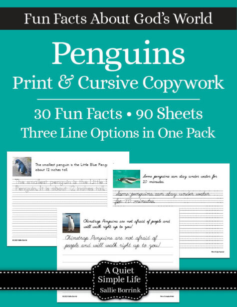 Penguins Copywork - Print & Cursive