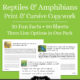 Reptiles and Amphibians Fun Facts Copywork