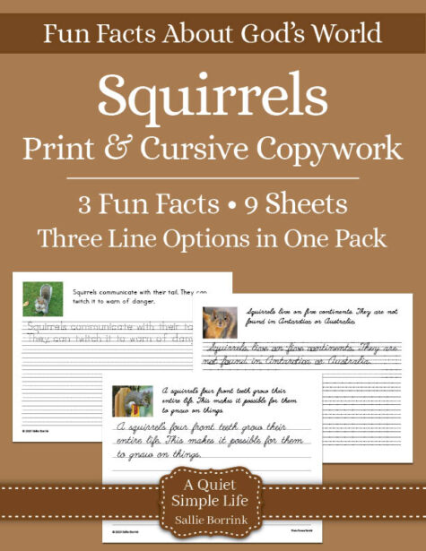 Squirrels Fun Facts Copywork - Free