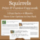 Squirrels Fun Facts Copywork - Free