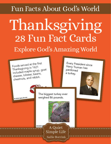 Thanksgiving Fun Facts Cards - Printable Activity