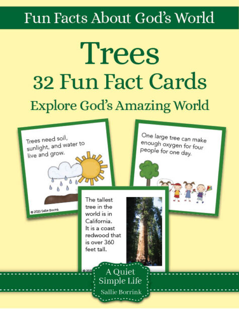 Trees Fun Facts Cards - Printable Activity