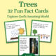 Trees Fun Facts Cards