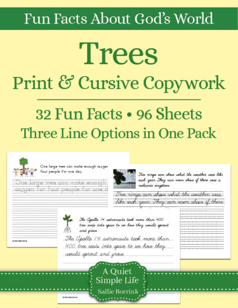 Trees Copywork – Print & Cursive