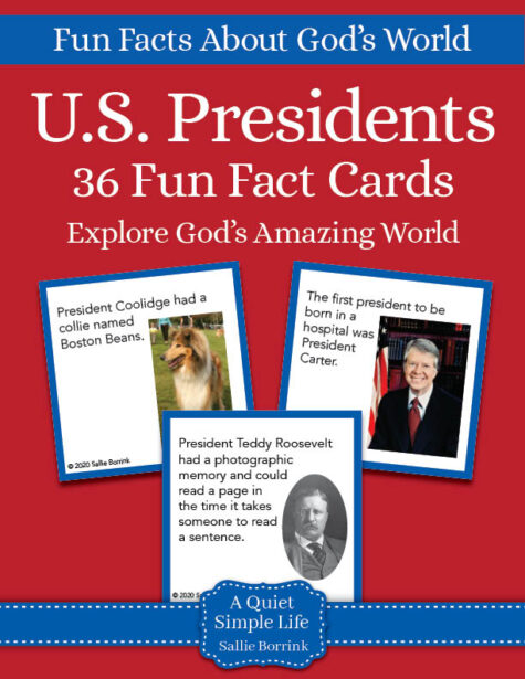 U.S. Presidents Fun Fact Cards