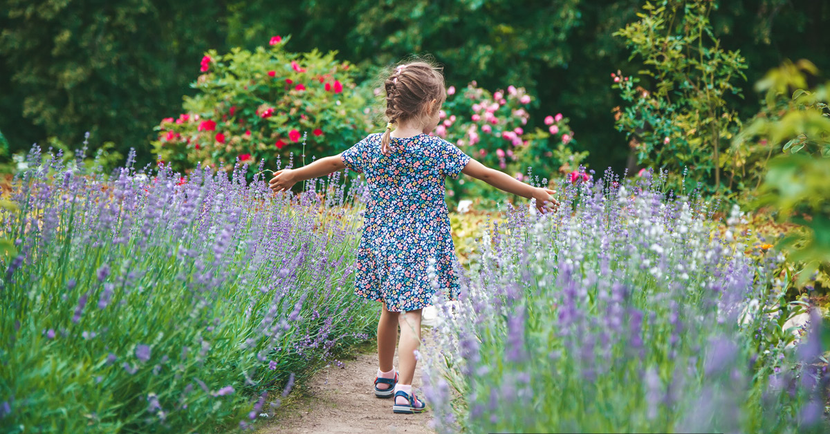 Morning Hope - Jesus and the Children, Millstones - A Quiet Simple Life