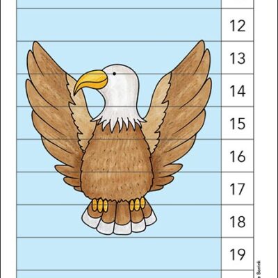 Bald Eagle counting picture puzzle
