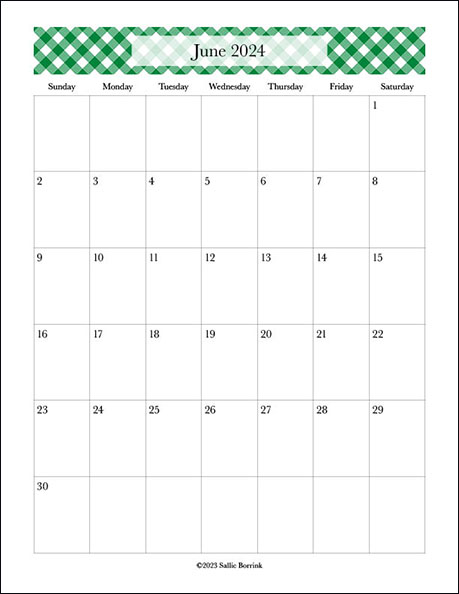2024 Gingham Monthly Printable Calendars - Vertical