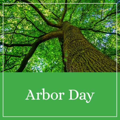 Arbor Day Theme - Worksheets & Printable Activities