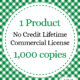 Extended License 1000 SB 010424