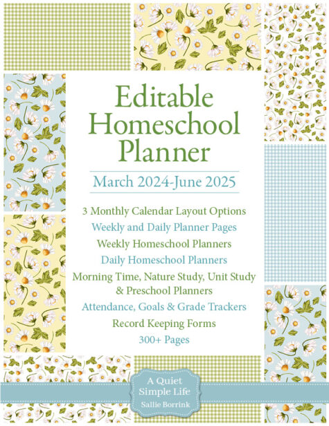 Daisies & Gingham Editable Homeschool Planner for March 2024 – June 2025