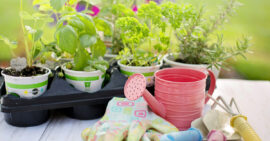 National Lawn & Garden Month Learning Ideas