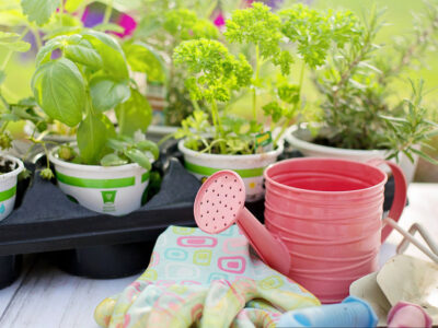 National Lawn & Garden Month Learning Ideas