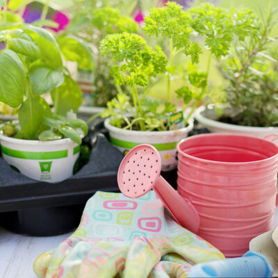National Lawn & Garden Month Learning Ideas
