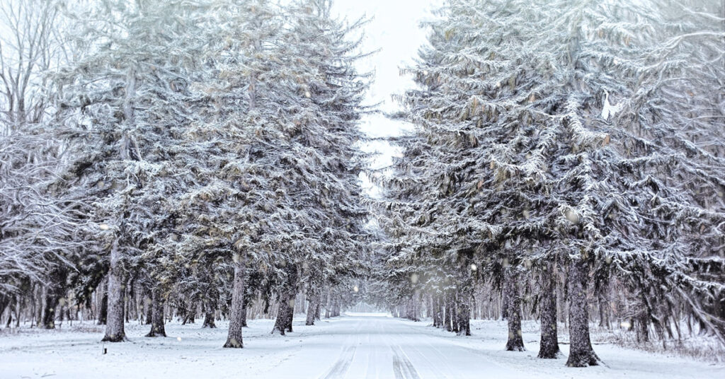 Acknowledge Your Limits