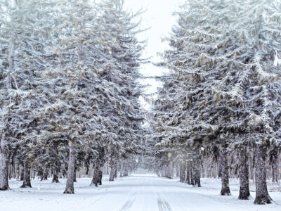 Acknowledge Your Limits