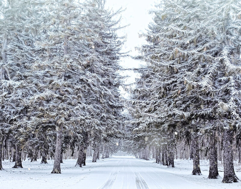 Acknowledge Your Limits