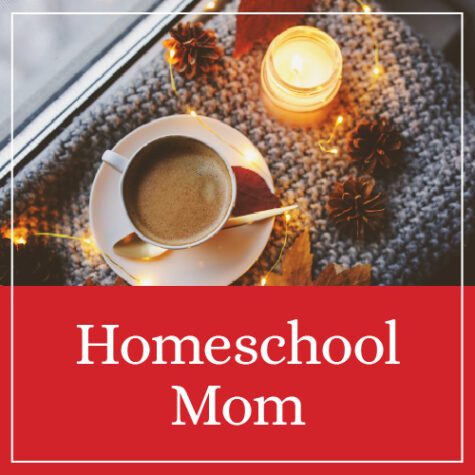 Homeschool Mom