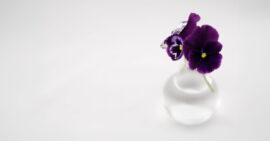 Purple pansies in small clear glass vase