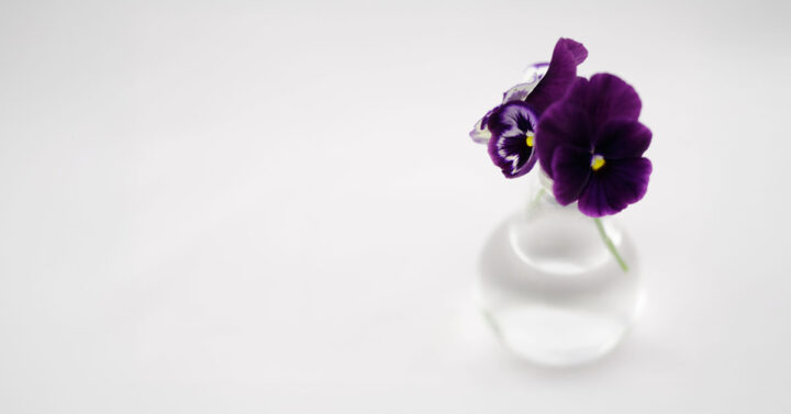 Purple pansies in small clear glass vase