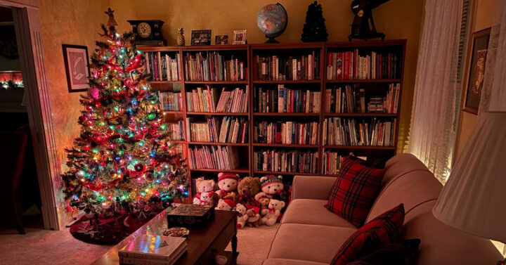 Christmas tree lit in dark room with wall of books
