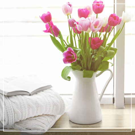 A Quiet Simple Life Series