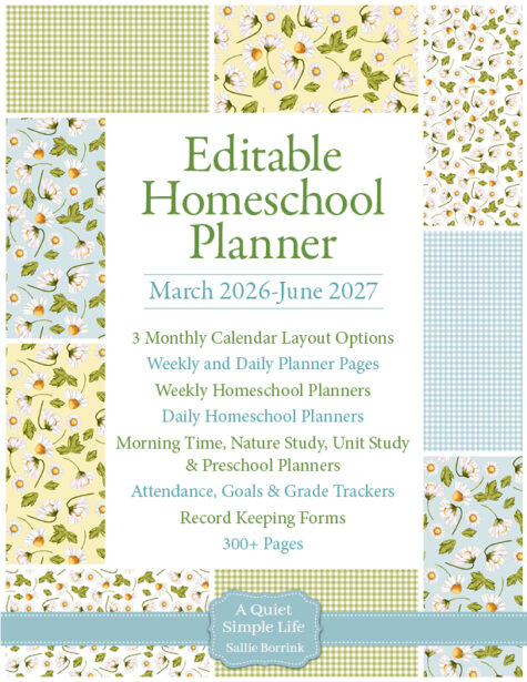 Editable Homeschool Planner 2026–2027 | Daisies & Gingham