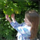 How I Teach Science – Relaxed Homeschooling in the Early Elementary Years Series SQUARE