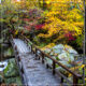 wooden path with railings in fall woods