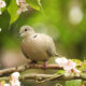 Encouragement for Women Carrying Quiet Burdens SIMPLE