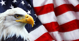 American flag and bald eagle