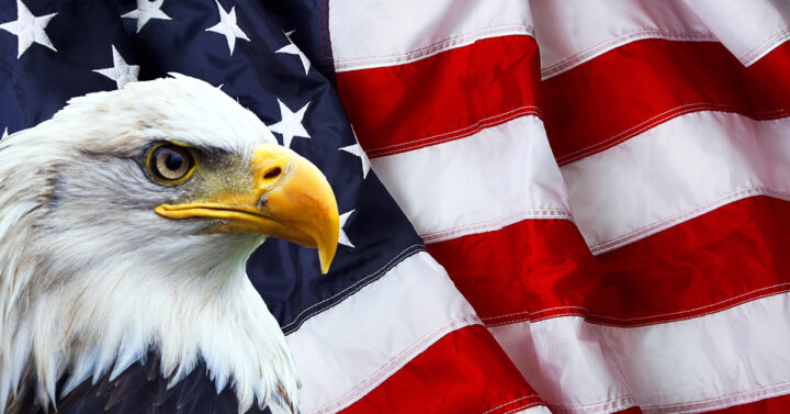 American flag and bald eagle