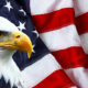 American flag and bald eagle